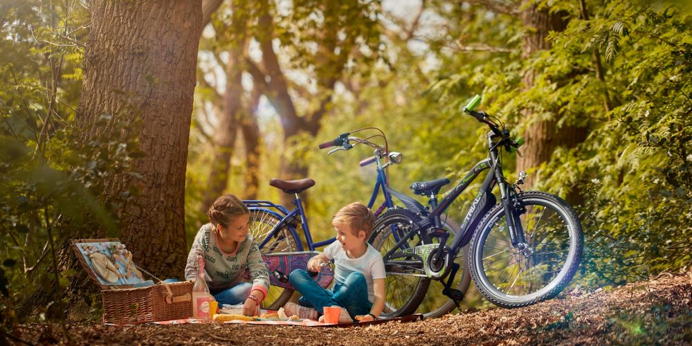 Alpina kinderfietsen